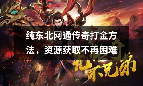 纯东北网通传奇打金方法,资源获取不再困难